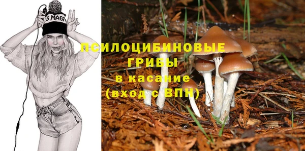 мдма Рославль