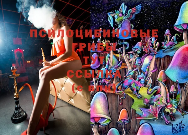 мдма Рославль