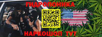 МДПВ Пушкино