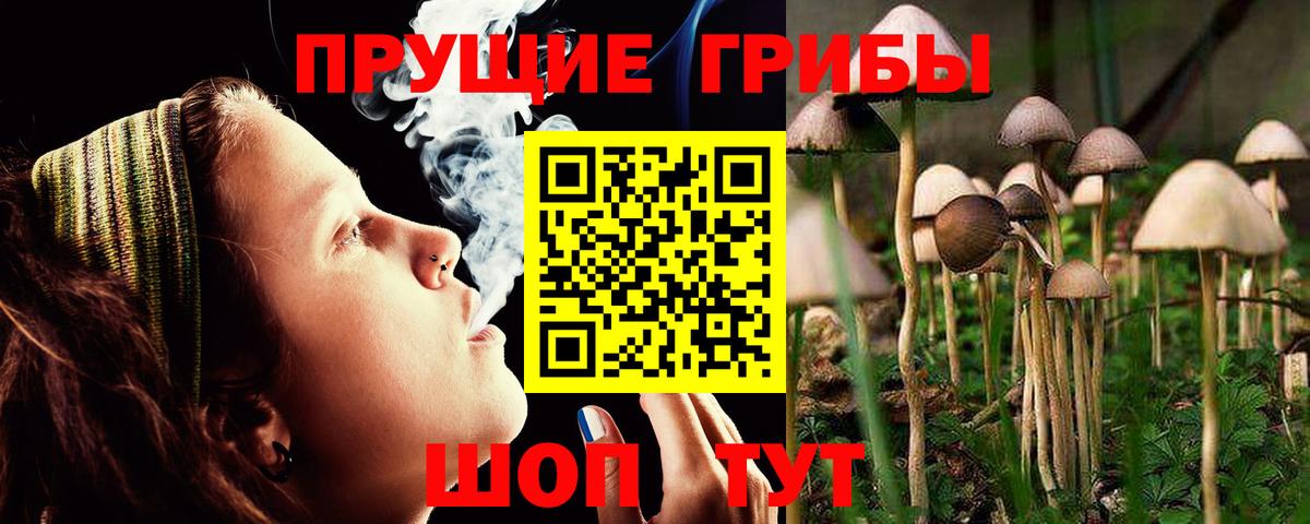 Галлюциногенные грибы мухоморы Ханты-Мансийск